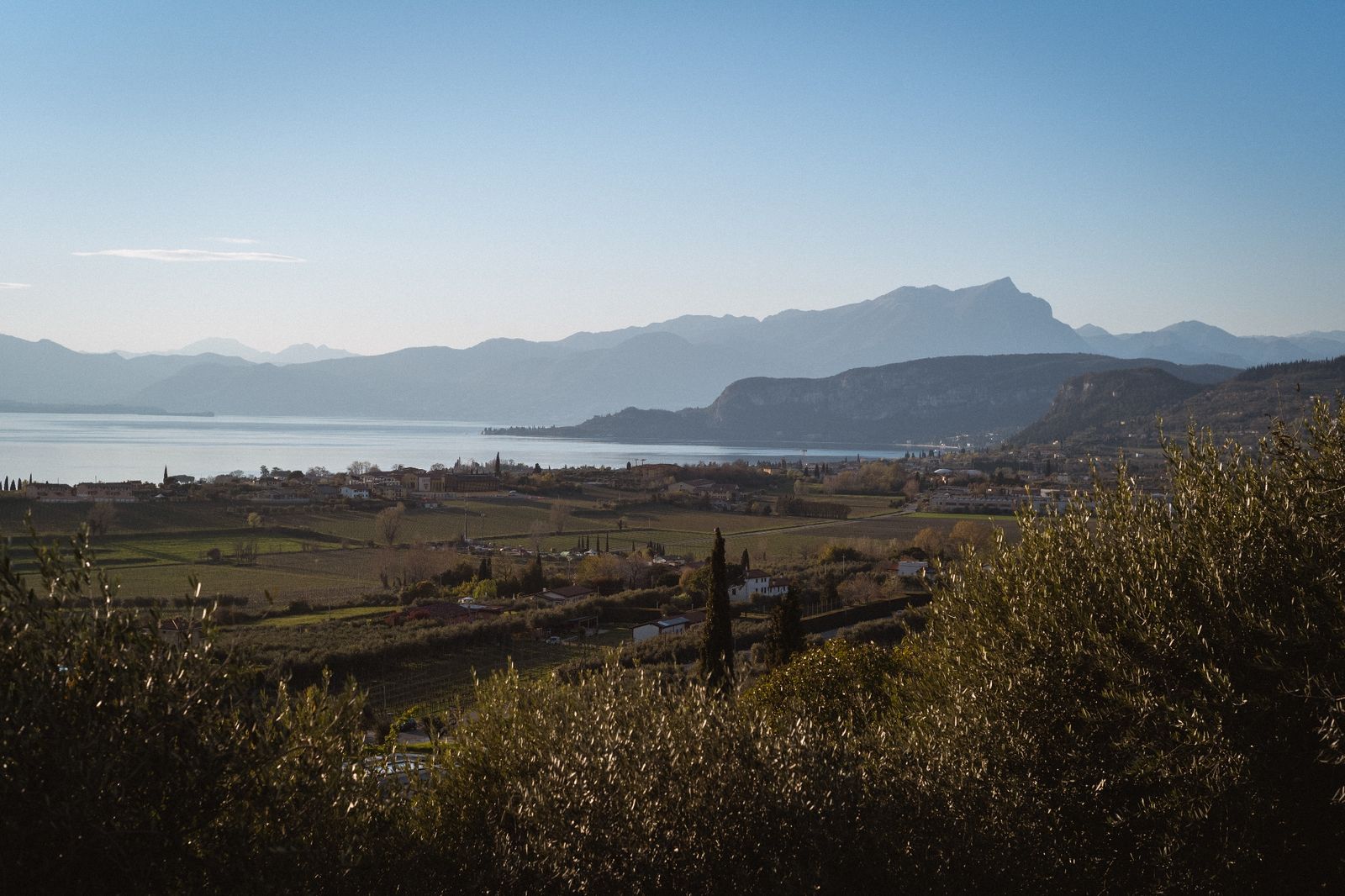Panorama des Gardasees mit Monte Baldo und Olivenhainen, vom Grundstück aus aufgenommen